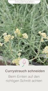 Pin Auf Kleine Garten