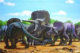 Eotriceratops Is A Larger Species Of Triceratops Larger Than A Human As Well About 4 5 Tons Animais Pre Historicos Desenho Personagem Feminina Dinossauros