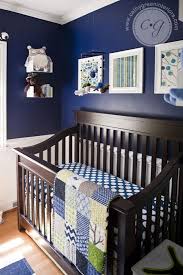 The Stuffed Owl And The Pictures Boy Nursery Colors Baby Boy Rooms Navy Green Nursery