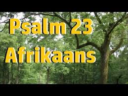 Psalm 23 Afrikaans Die Here Is My Herder Niks Sal My Ontbreek Nie Bybel Lees Ou Vertaling Bybel Youtube