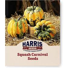 Image result for carnival acorn squash
