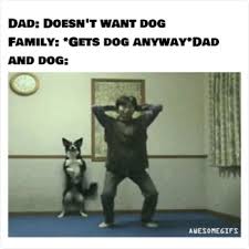 The perfect petpet generator raena animated gif for your conversation. 1 Gif Meme Maker Create And Share Memes For Free