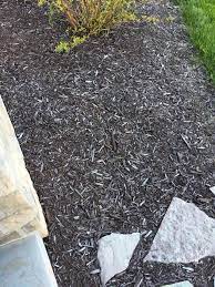 Check spelling or type a new query. How Long Should Dyed Brown Landscape Mulch Keep Its Color Gardening Landscaping Stack Exchange