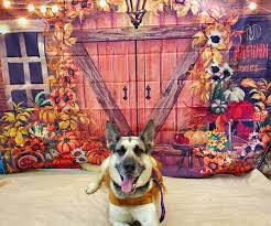 Learn more about winona area humane society in winona, mn, and search the available pets they have up for adoption on petfinder. Events