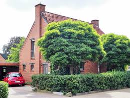 Immobilien suche nach '664 haus kaufen in deutschland gefunden'| finden sie handverlesene immobilien, exklusive häuser, hochwertige wohnungen, besondere objekte weltweit. News Zwenger Immobilien