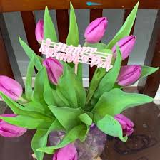 Maybe you would like to learn more about one of these? Irving Flowers Gifts Home Facebook