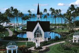 Top Wedding Venues On Maui Hop To It Hawaii Ocean Project