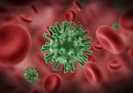 It is rare for people to get infected with bird flu viruses, but it can happen. India Free From Avian Influenza