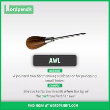Visual Dictionary Word Of The Day Awl Https Wordpandit Com Awl English Vocabulary Words Learn English Vocabulary Advanced English Vocabulary