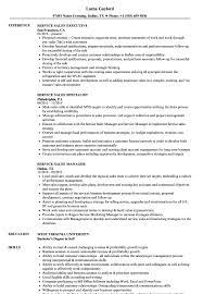 Good cv sample jobs vacancies nigeria. Service Sales Resume Samples Velvet Jobs