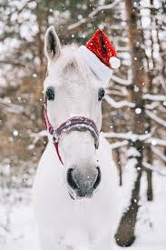 Christmas, bells on wood, christmas decorations, rocking horse. Christmas Horse 26 Meowlogy