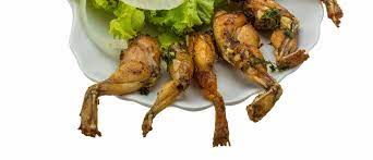 Octopus halal or haram hanafi. Are Frogs Halal The Halal Life