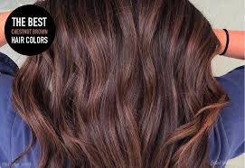 It is characterized by higher levels of the dark pigment eumelanin and lower levels of the pale pigment pheomelanin. 14 Chestnut Brown Hair Colors You Gotta See Next Photos