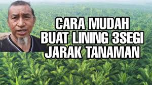 Mengapa tidak diberlakukan hal yang sama? Cara Mudah Buat Lining 3segi Jarak Tanaman Youtube