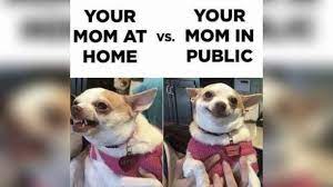 50 perfectly timed animal photos. Clean Hilarious Relatable Memes To Watch When You Re Bored Funny Clean Memes From Pinterest Youtube