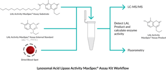 Lysosomal Acid Lipase Activity Maxspec Assay Kit Lal Cayman Chemical