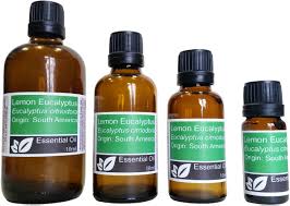 Lemon eucalyptus essential oil is derived from a lemon scented blue gum eucalypti plant, a tall tree with smooth bark. Oil Of Lemon Eucalyptus Benefits Uses Powells Aromatherapy Products