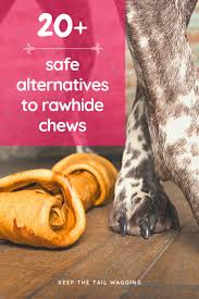 Puppies and juvenile dogs use their mouth to learn more about their surroundings in the same way as human babies use their senses to learn. 20 Safe Alternatives To Rawhide Chews Keep The Tail Wagging