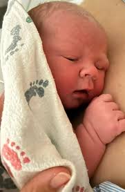 Dillon Bruce (@dillon_bruce) • Instagram photos and videos