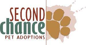 Learn more about barney today. Garner Area Pet Adoption K9 Kabana