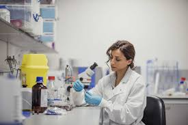 Biochemistry Phd : University Of Sussex