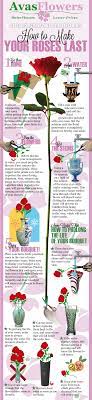 How to make fresh flowers last longer. Infographic How To Make Your Roses Last Longer Avas Flowers
