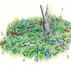 Blumenbeete Unter Baumen Mit Zauberhafte Blutenpflanzen Garten Bepflanzen Blumenbeete Blumenbeet Anlegen