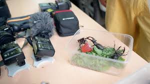 Image result for pokoutnik st job 