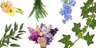 Bouquet of several kinds of flowers. 26 Filler Flowers And Types Of Greenery Fiftyflowers