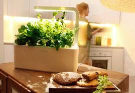 It can be simply made or you can spend some money, sometimes quite a bit of money, on a prefab setup. A Grown Up Smart Countertop Herb Garden