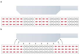 The strong action reflects a rising confidence that the economy will eventually recover from the coronavirus. Search Results For Stock Market Cleantalkorg2 Ru Breaking News Live Updates Breaking News Breaking News News Usa Stock Market Video Page 4 Materials Science Engineering