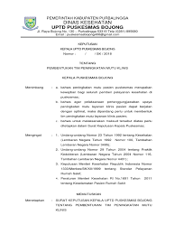 Surat keputusan kepala puskesmas lalolae pembentukan tim peningkatan mutu. Sk Pembentukan Tim Klinis