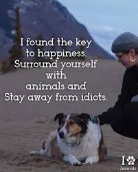 I Would Rather Be With My Dog Than People Dog Quotes Animal Quotes Animals