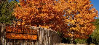 State park visitors who long to extend their stay for more than a day have a variety of options when it comes to sleeping over. Lost Maples State Natural Area Texas Parks Wildlife Department