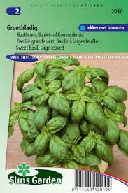 Basil plants basil 'amethyst' $6.95. Basil Sweet Large Leaved For Sale Buy Online For Only 1 49