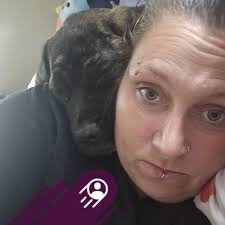 How to get a job in the lobster industry in Maine?