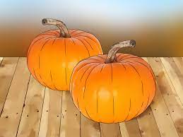 Pumpkins are a fall staple and when it comes to their varieties, the options are endless. How To Grow A Pumpkin 13 Steps With Pictures Wikihow