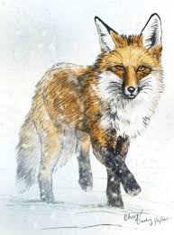 Pin By Marla Heffron On Companhia Das Rapozas Id Fox Sketch Fox Painting Fox Drawing