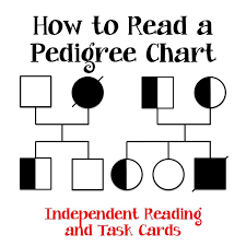 pedigree charts task cards reading passage and