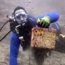 Bill to remove garbage from the oceanthis is in response to the new bill above to clean tons of garbage from the ocean. Throwing Your Old Car Batteries Into The Ocean Home Facebook