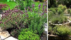 Wie man den gartenweg pflastert, was man bei trittsteinen beachten muss und welcher gartenweg in welchen garten passt. Anleitung Fur Das Anlegen Und Bepflanzen Einer Krauterspirale