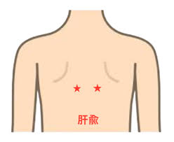 外陰部掻痒症の鍼灸【原因・定義・症状】 - 銀座そうぜん鍼灸院（深層筋・自律神経）銀座・築地