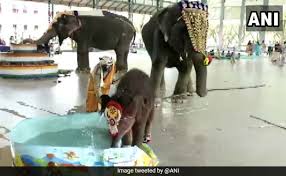 Bath song is a fun nursery rhyme for kids. Video Baby Elephant Shivani Plays In Water After Her Naming Ceremony