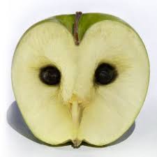 Animal Art Illusions By Radek Ossowski Animal Art Illusion Art Optical Illusions Art