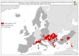 De regula, virusul west nile se transmite la oameni si la animale prin intermediul tantarilor infectati. West Nile Biogents Ag