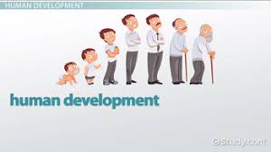 human development stages from infancy to late adulthood