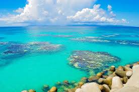 Image result for 沖縄の海