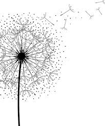 Black And White Art Prints Dandelion Print Minimalist Poster Black White Wall Art Monochrome Art White Art White Artwork