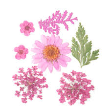 Check spelling or type a new query. Dried Flowers Leaf Uv Resin Decoration Flower Dry Beauty Nail Art Decals Epoxy Mold Buy At A Low Prices On Joom E Commerce Platform