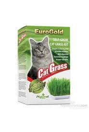 Kedi Otu Cesitleri Ve Fiyatlari 32 Indirim